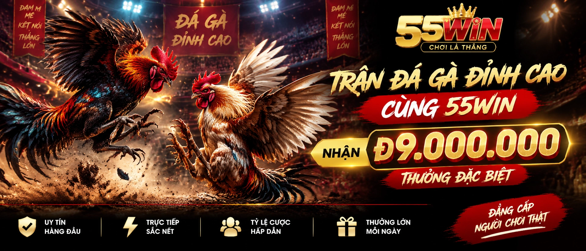 Đá Gà banner giới thiệu danh mục giải trí 55win.com.vc